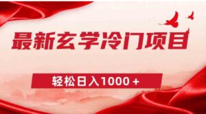 最新冷门玄学项目，零成本一单268，轻松日入1000＋-财仔梦想资源网