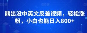 熊出没中英文反差视频，轻松涨粉，小白也能日入800+-财仔梦想资源网