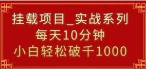 挂载项目，小白轻松破1000，每天10分钟，实战系列保姆级教程-财仔梦想资源网
