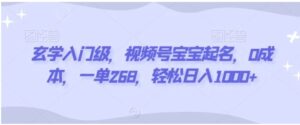 玄学入门级，视频号宝宝起名，0成本，一单268，轻松日入1000+-财仔梦想资源网