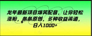龙年最新项目爆笑配音，让你轻松涨粉，条条原创，多种收益渠道，日入1000+【揭秘】-财仔梦想资源网