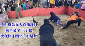 冷门爆款无人直播项目，简单易学上手快，变现快日赚2千不是梦【揭秘】-财仔梦想资源网