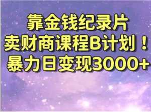 靠金钱纪录片卖财商课程B计划！暴力日变现3000+，喂饭式干货教程！-财仔梦想资源网
