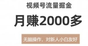 视频号流量掘金，月赚2000多，无脑操作，对新人小白友好-财仔梦想资源网