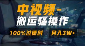 无脑双重去重原创视频，100%中视频+视频号分成计划，一键多平台发布小白…-财仔梦想资源网