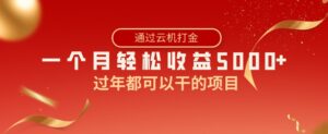 过年都可以干的项目，快手掘金，一个月收益5000+，简单暴利-财仔梦想资源网