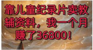靠儿童纪录片卖教辅资料，一个月赚了36800！暴力变现2.0版本，喂饭级教学-财仔梦想资源网