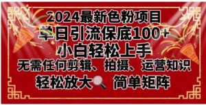 2024最新换脸项目，小白轻松上手，单号单月变现3W＋，可批量矩阵操作放大-财仔梦想资源网