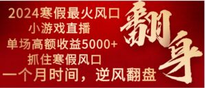 2024年最火寒假风口项目小游戏直播单场收益5000+抓住风口一个月直接提车-财仔梦想资源网