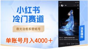 小红书冷门赛道，夜光治愈系壁纸号，单号月入4000＋-财仔梦想资源网
