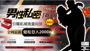 全网最新男性私密赛道玩法，引爆私域流量，轻松日入2000+-财仔梦想资源网