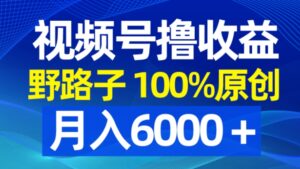 视频号野路子撸收益，100%原创，条条爆款，月入6000＋-财仔梦想资源网