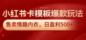小红书卡模板爆款玩法，售卖情趣内衣，日盈利500+【揭秘】-财仔梦想资源网