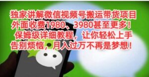 独家讲解微信视频号搬运带货项目，保姆级详细教程-财仔梦想资源网
