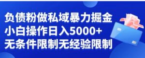 负债粉私域暴力掘金，小白操作入5000，无经验限制，无条件限制【揭秘】-财仔梦想资源网