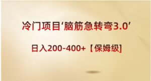 冷门项目‘脑筋急转弯3.0’轻松日入200-400+【保姆级教程】-财仔梦想资源网