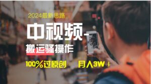 中视频新思路，双重去重100%过原创，一键分发多平台变现，简单无脑，日入1000+-财仔梦想资源网