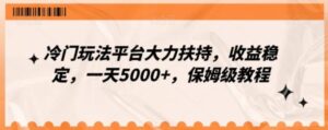 冷门玩法平台大力扶持，收益稳定，一天5000+，保姆级教程-财仔梦想资源网