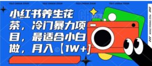小红书养生花茶，冷门暴力项目，最适合小白做，月入【1W+】-财仔梦想资源网