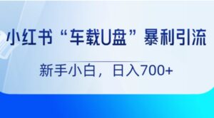 小红书“车载U盘”项目，暴利引流，新手小白轻松日入700+-财仔梦想资源网