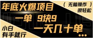 年底火爆项目，一单9.9，一天几十单，只需一部手机，傻瓜式操作，小白有手就行-财仔梦想资源网