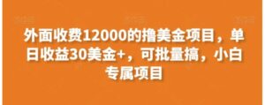 外面收费12000的撸美金项目，单日收益30美金+，可批量搞，小白专属项目-财仔梦想资源网