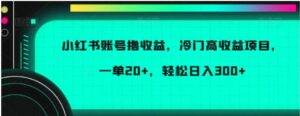 小红书账号撸收益，冷门高收益项目，一单20+，轻松日入300+-财仔梦想资源网