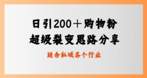日引200＋购物粉，超级裂变思路，私域卖货新玩法-财仔梦想资源网