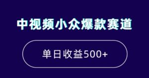 中视频小众爆款赛道，7天涨粉5万+，小白也能无脑操作，轻松月入上万【揭秘】-财仔梦想资源网