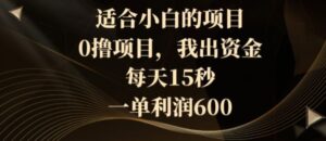 适合小白的项目，0撸项目，我出资金，每天15秒，一单利润600-财仔梦想资源网