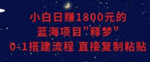 小白能日赚1800元的蓝海项目”释梦”0-1搭建流程可直接复制粘贴长期做-财仔梦想资源网