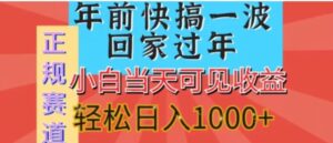 新风口，视频号短剧，简单粗暴，可矩阵操作，小白当天可见收益，轻松日入1000+-财仔梦想资源网