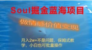 Soul掘金蓝海项目细分赛道，做情感价值变现，月入2w+不是问题-财仔梦想资源网