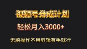 视频号流量分成，不用剪辑，有手就行，轻松月入2000+-财仔梦想资源网