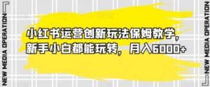 小红书运营创新玩法保姆教学，新手小白都能玩转，月入6000+【揭秘】-财仔梦想资源网