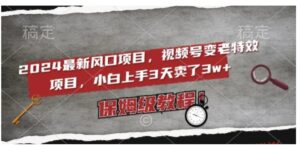 2024最新风口项目，视频号变老特效项目，电脑小白上手3天卖了3w+，保姆级教程【揭秘】-财仔梦想资源网