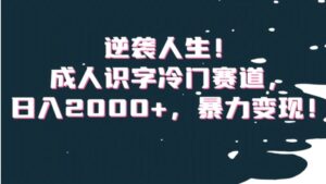 逆袭人生！成人识字冷门赛道，日入2000+，暴力变现！【揭秘】-财仔梦想资源网