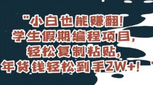 小白也能赚翻！学生假期编程项目，轻松复制粘贴，年货钱轻松到手2W+【揭秘】-财仔梦想资源网