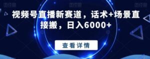视频号直播新赛道，话术+场景直接搬，日入6000+-财仔梦想资源网