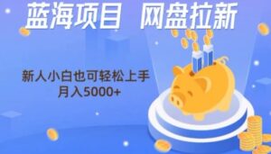 蓝海项目网盘拉新，新人小白也可操作，每月收入5000+-财仔梦想资源网