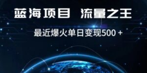 好评返现项目，稳定，小白速学月入过万【仅揭秘】-财仔梦想资源网