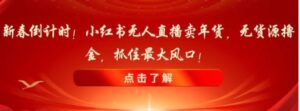 新春倒计时！小红书无人直播卖年货，无货源撸金，抓住最大风口【揭秘】-财仔梦想资源网