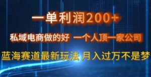 一单利润200私域电商做的好，一个人顶一家公司蓝海赛道最新玩法【揭秘】-财仔梦想资源网