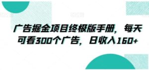 广告掘金项目终极版手册，每天可看300个广告，日收入160+【揭秘】-财仔梦想资源网