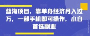 蓝海项目，靠单身经济月入过万，一部手机即可操作，小白首选副业【揭秘】-财仔梦想资源网