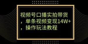 视频号口播实拍带货，单条视频变现14W+，操作玩法教程-财仔梦想资源网