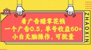 无脑看广告获取收益，一条广告0.5，日稳定60-100+，可批量放大，超级稳定-财仔梦想资源网