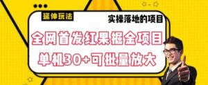 全网首发红果免费短剧掘金项目，单机30+可批量放大【揭秘】-财仔梦想资源网