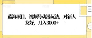 蓝海项目，视频号动漫玩法，对新人友好，月入3000+【揭秘】-财仔梦想资源网