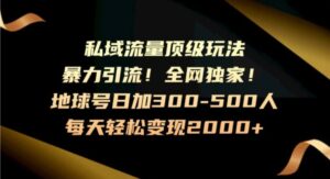 暴力引流，全网独家，地球号日加300-500人，私域流量顶级玩法，每天轻松变现2000+-财仔梦想资源网